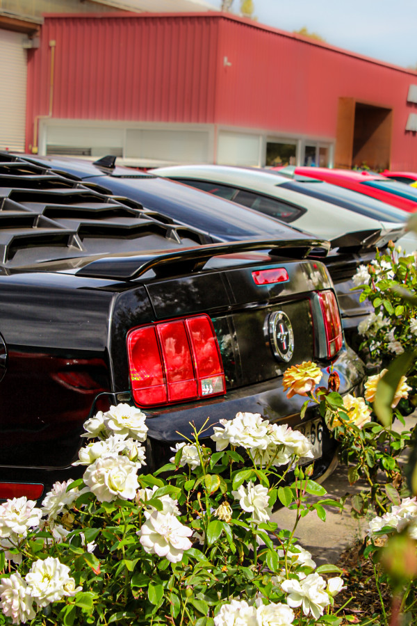 Ford Mustang