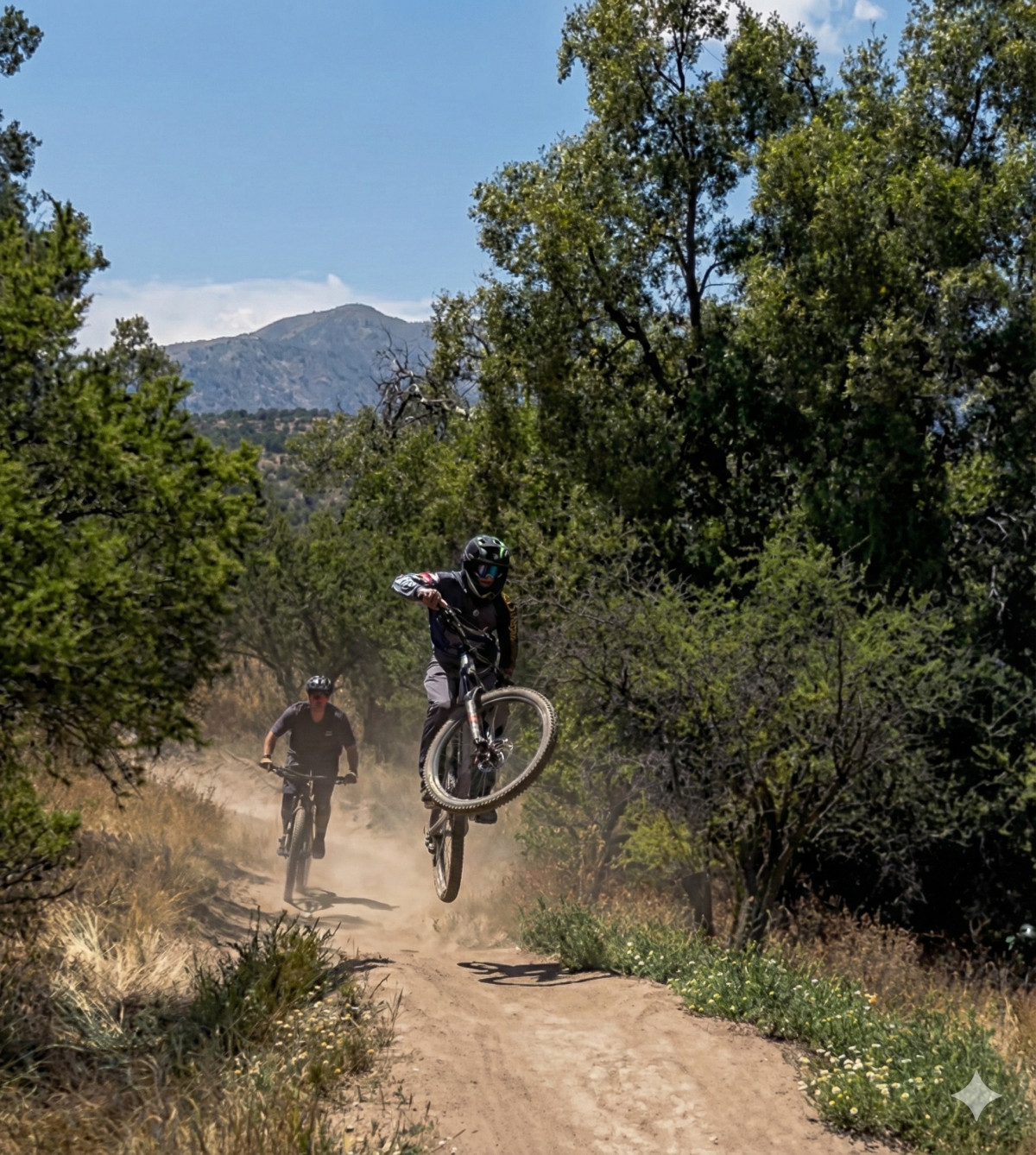 MARIN ALPINE TRAIL XR 